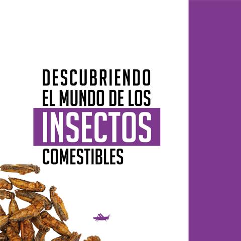 Descubriendo el Mundo de los Insectos Comestibles: Mitos y Realidades